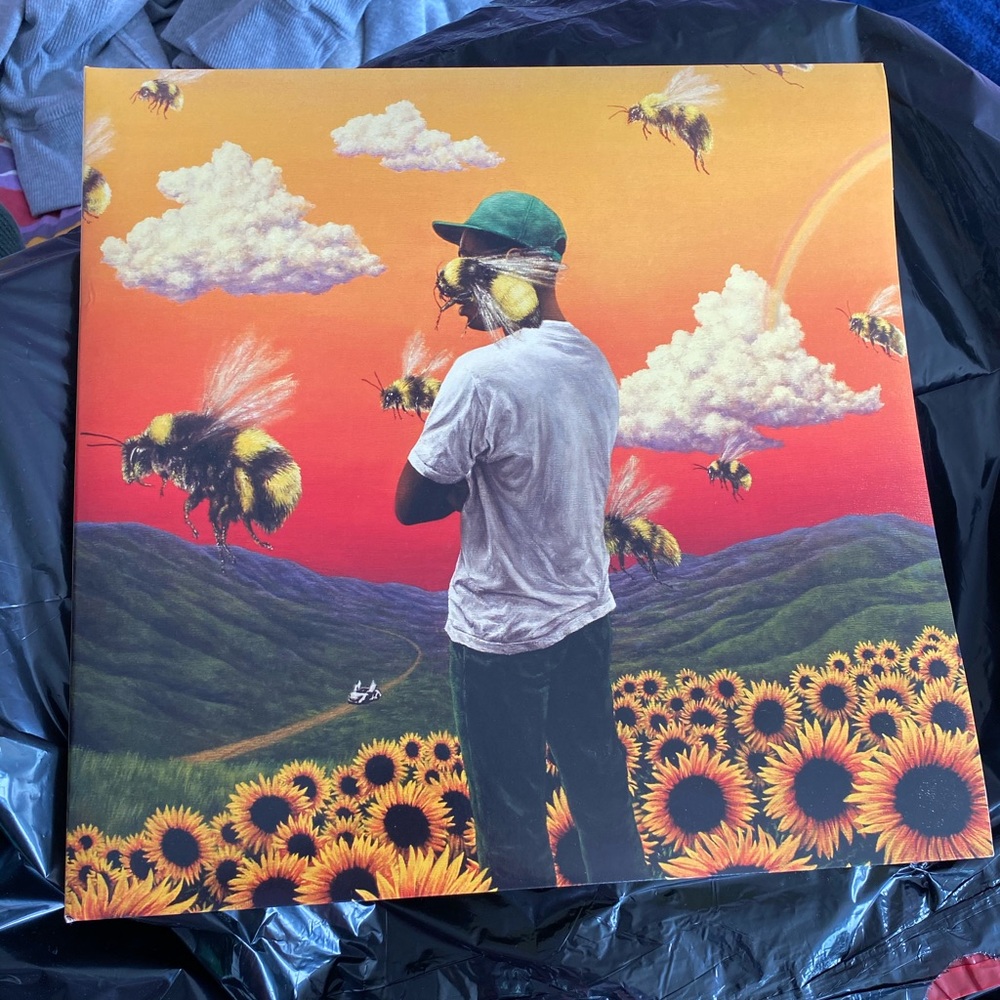 Flower boy record by Tyler the creator